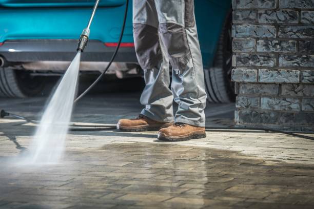 Best Gutter Cleaning  in , IA